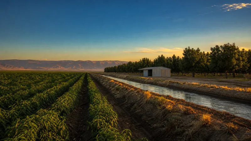 Chile rows beside a pecan orchard on irrigated valley farmland, How to Start a Chile or Pecan Farm in New Mexico